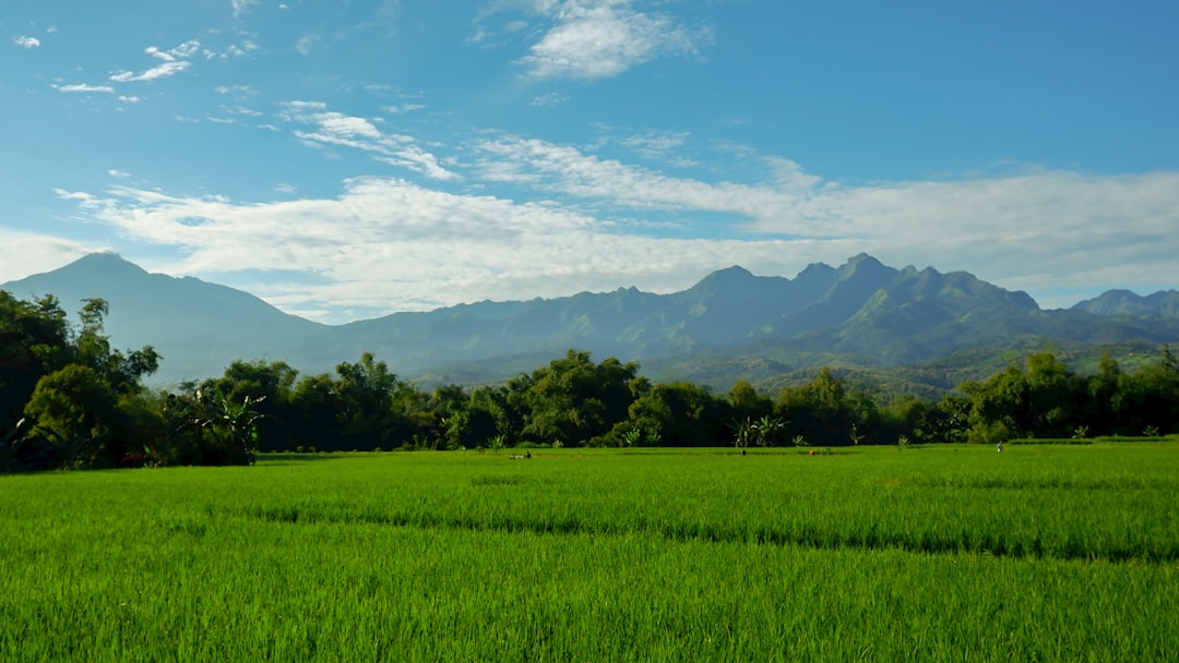 Wat de rente betekent voor jouw portemonnee: inzicht in geldzaken
