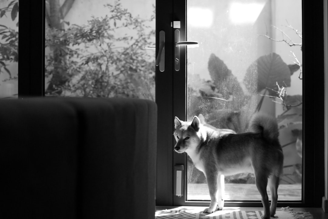 Zelf rente berekenen: zo helpt een simpele som bij je geldzaken