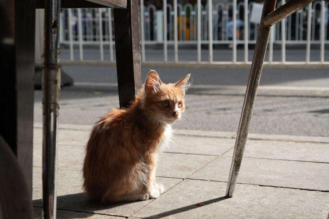 Zoveel rente betaal je over je hypotheek: alles wat je moet weten