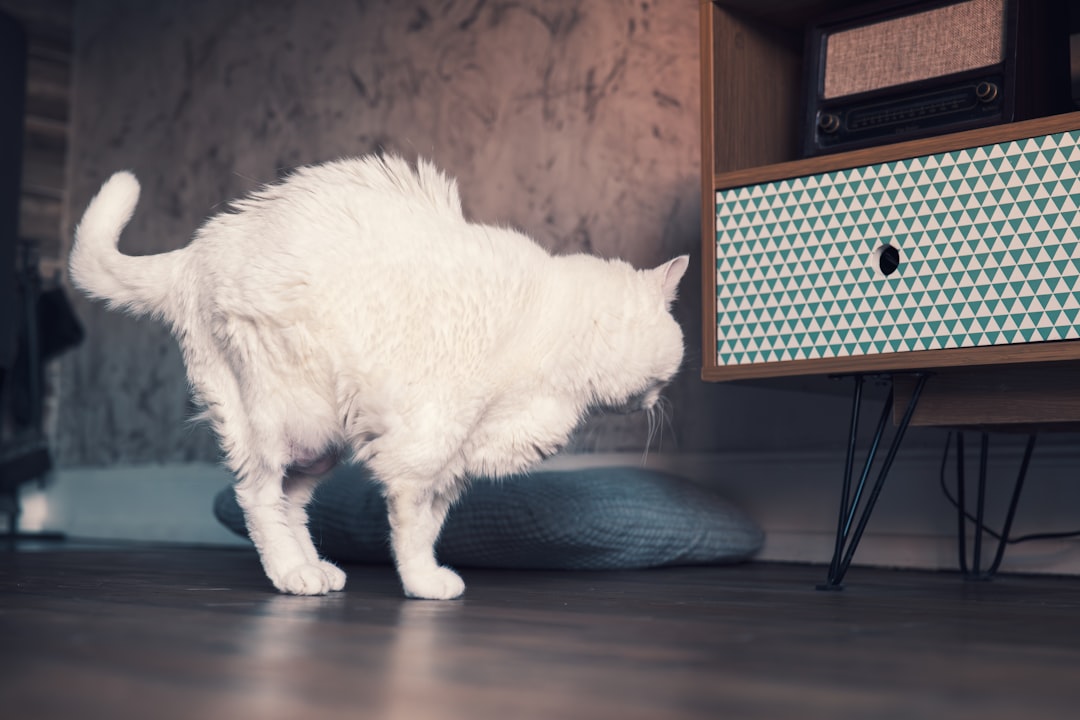 Wettelijke rente: wat betekent dit voor je geldzaken?