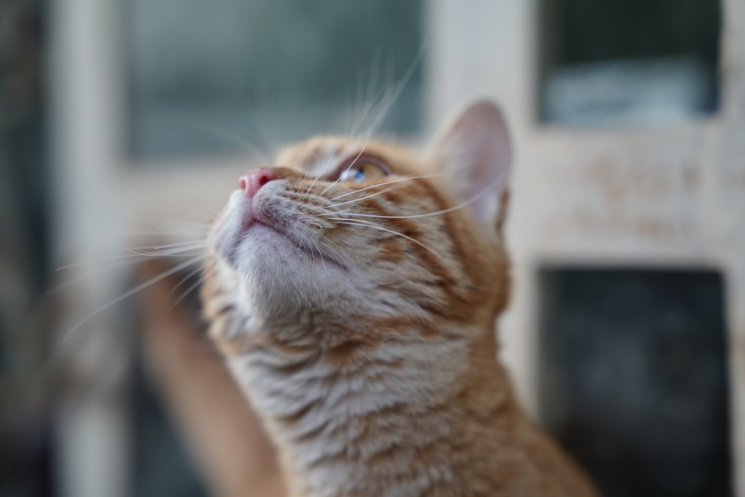 Zo haal je het meeste uit de rente op je spaarrekening